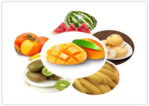 中醫(yī)養(yǎng)生保健 守護(hù)健康，傳承智慧